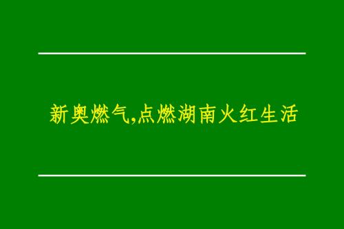 新奥燃气长株潭地区品牌规划与市场推广策划案