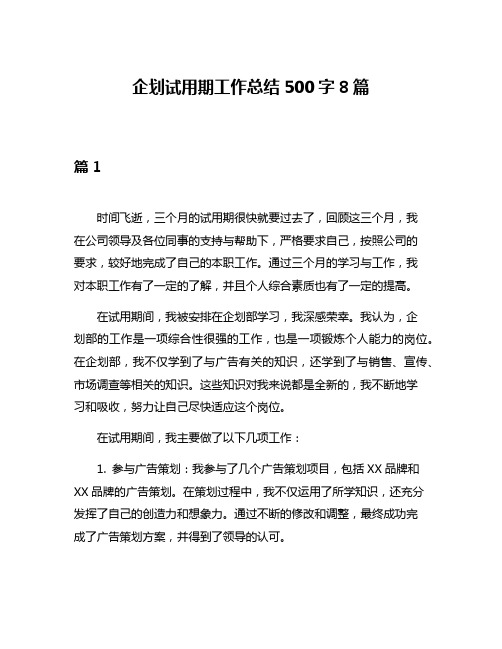 企划试用期工作总结500字8篇