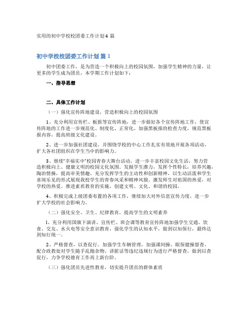 实用的初中学校校团委工作计划4篇