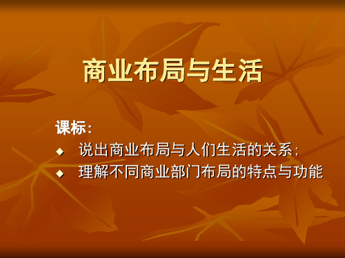 [高二地理课件]商业布局与生活-文档资料