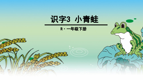 人教版一年级上册语文识字3 小青蛙课件