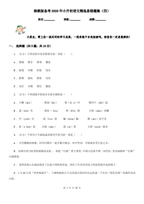 湘教版备考2020年小升初语文精选易错题集(四)