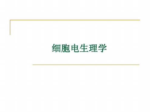 医学细胞电生理-2023年学习资料