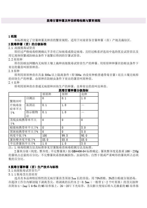 脱毒甘薯种薯及种苗病毒检测与繁育规1