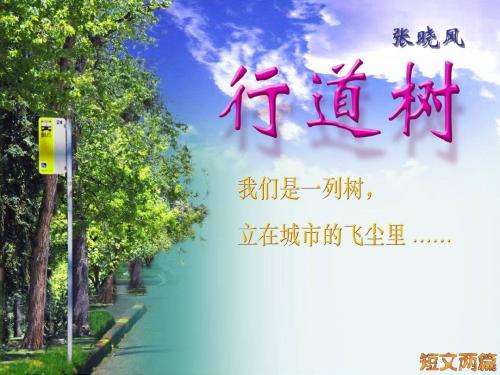 人教版语文初一上册第二单元短文两篇行道树