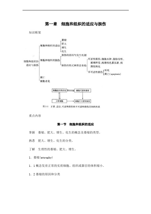 病理学 第一章 细胞和组织的适应与损伤 课程复习