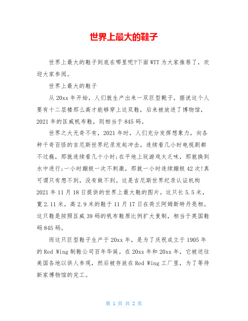 世界上最大的鞋子