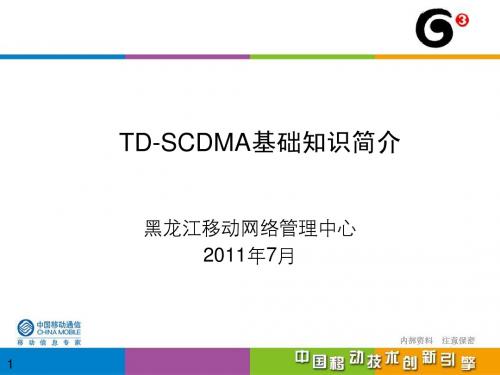 TD-SCDMA基础知识简介