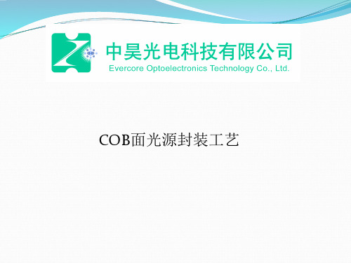 COB封装工艺流程 ppt课件