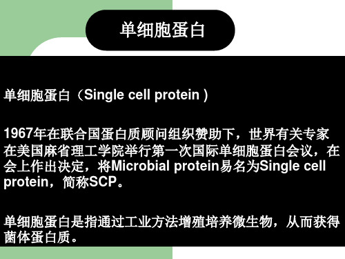 单细胞蛋白