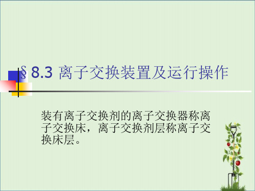 08章3离子交换装置及运行课案