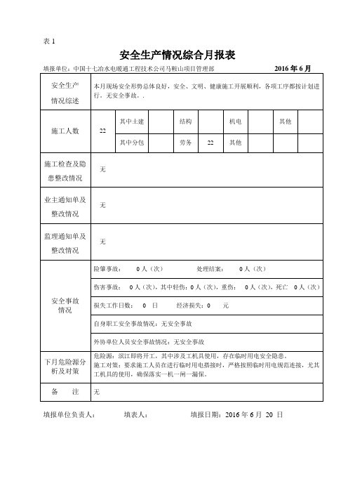 安全生产情况综合6月报表