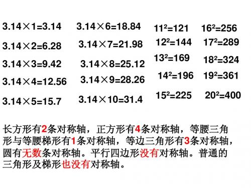 圆的面积复习