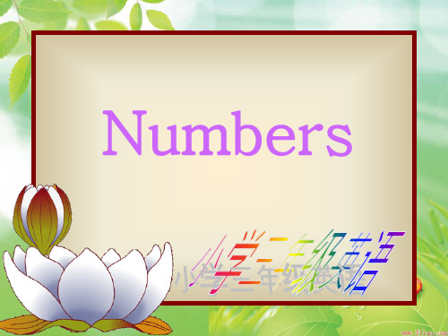 Numbers(小学英语课件)