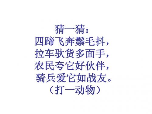 课件《马》2