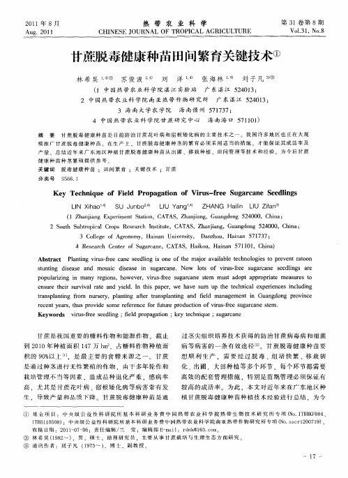 甘蔗脱毒健康种苗田间繁育关键技术
