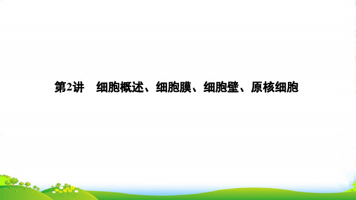 生物浙江高考选考一轮复习课件：第2讲 细胞概述、细胞膜、细胞壁、原核细胞