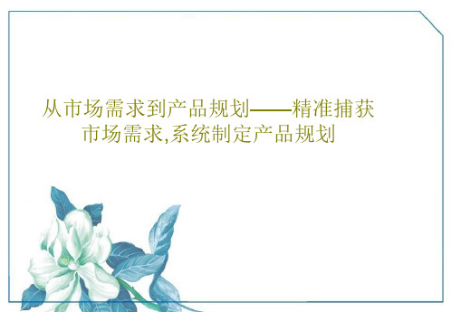 从市场需求到产品规划——精准捕获市场需求,系统制定产品规划共17页