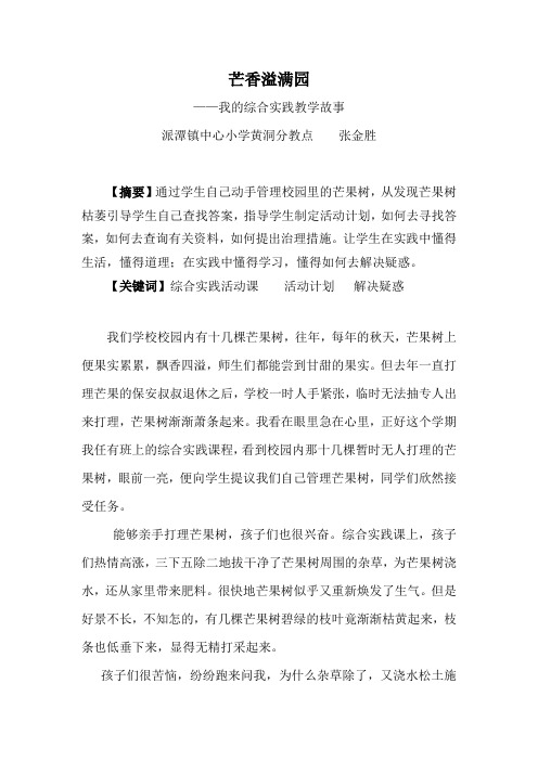 我的综合实践教学故事