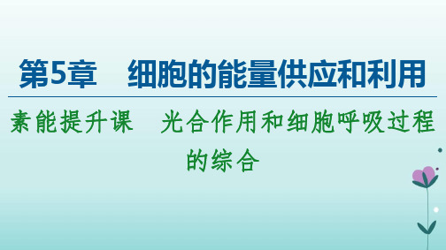 新教材人教必修1课件：第5章 素能提升课 光合作用和细胞呼吸过程的综合