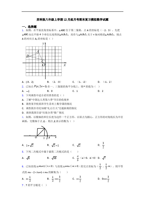 苏科版八年级上学期12月底月考期末复习模拟数学试题