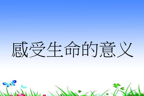 七年级道德与法治上册生命的思考 绽放生命之花感受生命的意义课件 新人教版