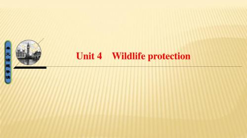 人教版2017高中英语(必修2) Unit 4 Wildlife protection (PPT课件)