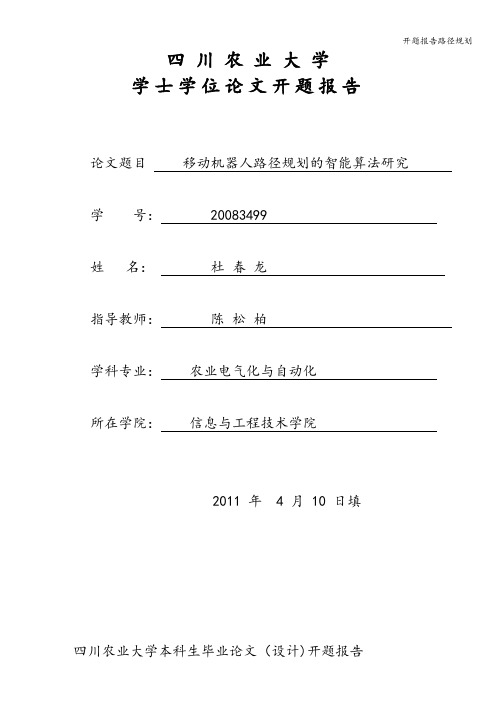 开题报告路径规划