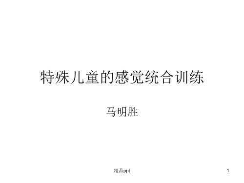 特殊儿童的感觉统合训练ppt课件