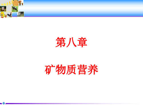 动物营养学：第八章  矿物质营养