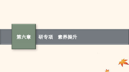 适用于新高考新教材广西专版2025届高考物理一轮总复习第6章动量守恒定律研专项素养提升课件