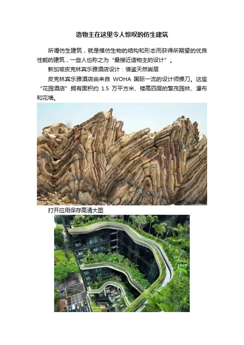 造物主在这里令人惊叹的仿生建筑