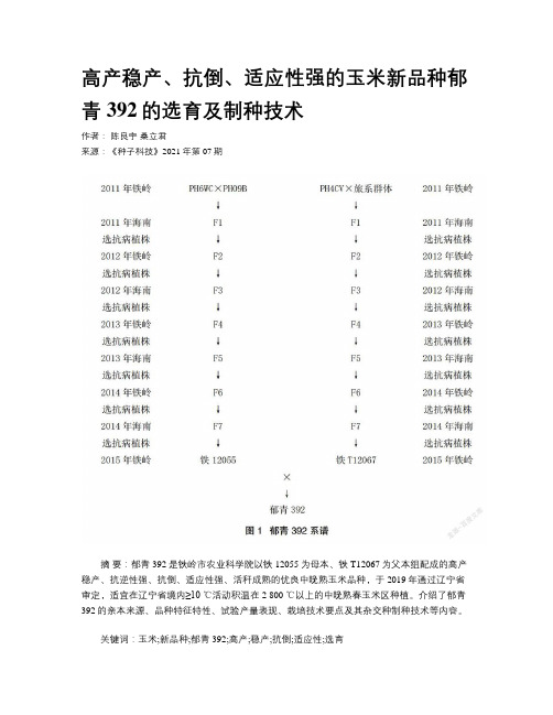 高产稳产、抗倒、适应性强的玉米新品种郁青392的选育及制种技术