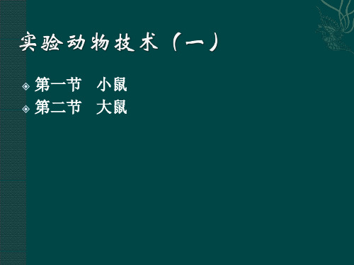 实验技术-小鼠及大鼠.