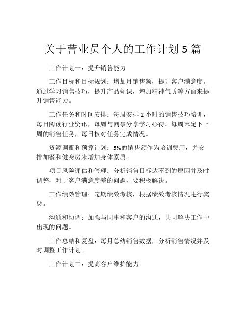 关于营业员个人的工作计划5篇