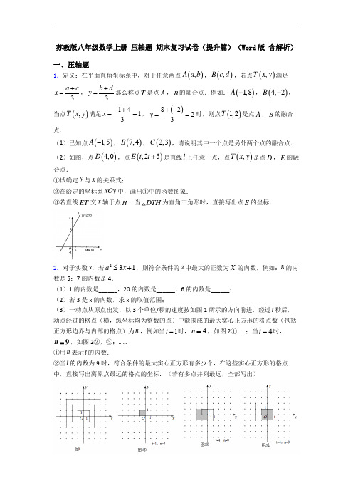 苏教版八年级数学上册 压轴题 期末复习试卷(提升篇)(Word版 含解析)