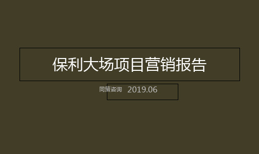 同策XXXX年上海保利大场项目营销报告精品文档92页