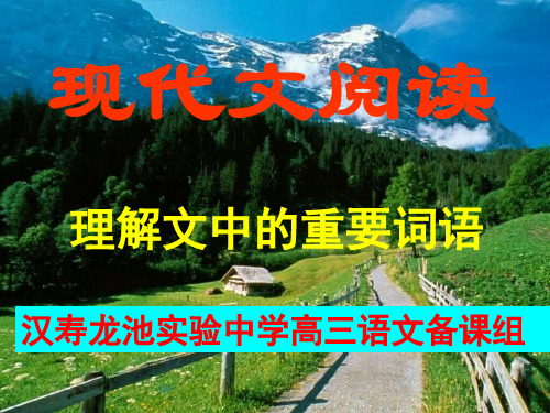 高考复习现代文阅读理解文中的重要词语ppt2