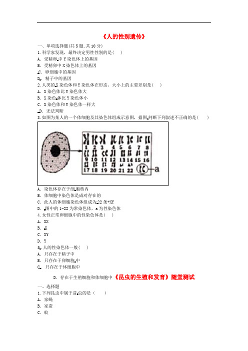 八年级生物下册7.2.4人的性别遗传基础练习2 新人教版