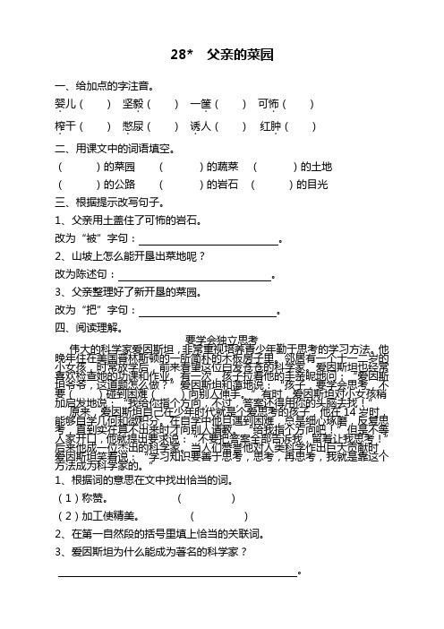 部编版四年级语文下册《28父亲的菜园》课时练及答案【推荐】