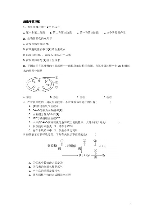 细胞呼吸习题