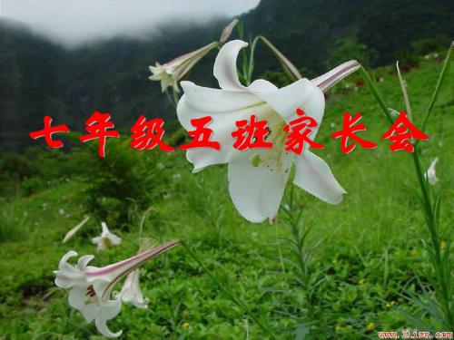 7.5家长会3