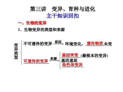 高中生物变异、育种与进化ppt课件