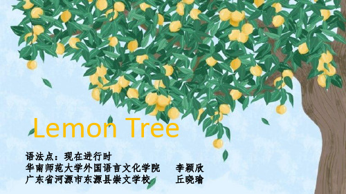 Lemon Tree