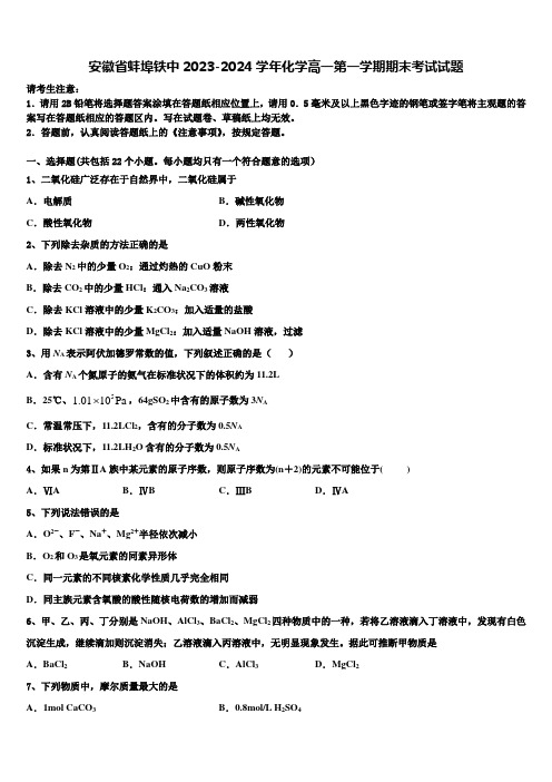 安徽省蚌埠铁中2023-2024学年化学高一第一学期期末考试试题含解析