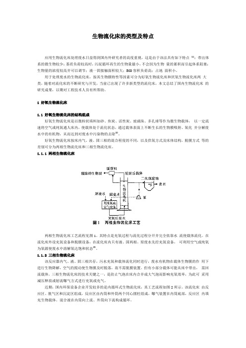 生物流化床的类型及特点