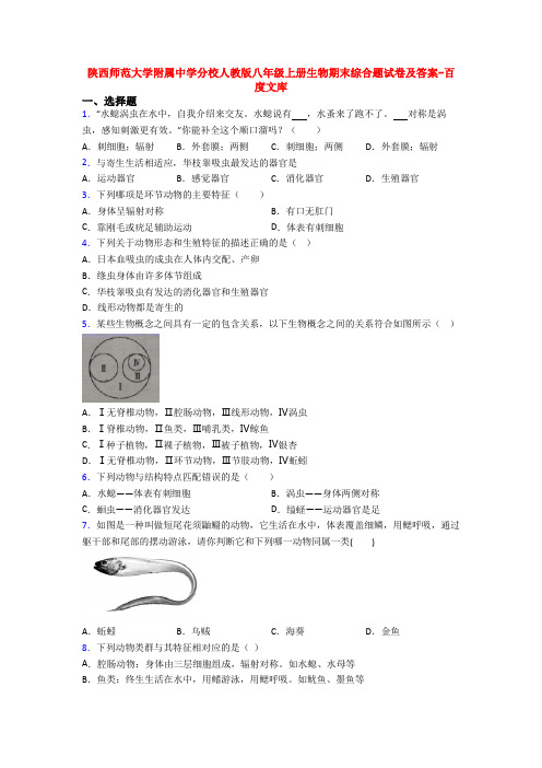 陕西师范大学附属中学分校人教版八年级上册生物期末综合题试卷及答案-百度文库