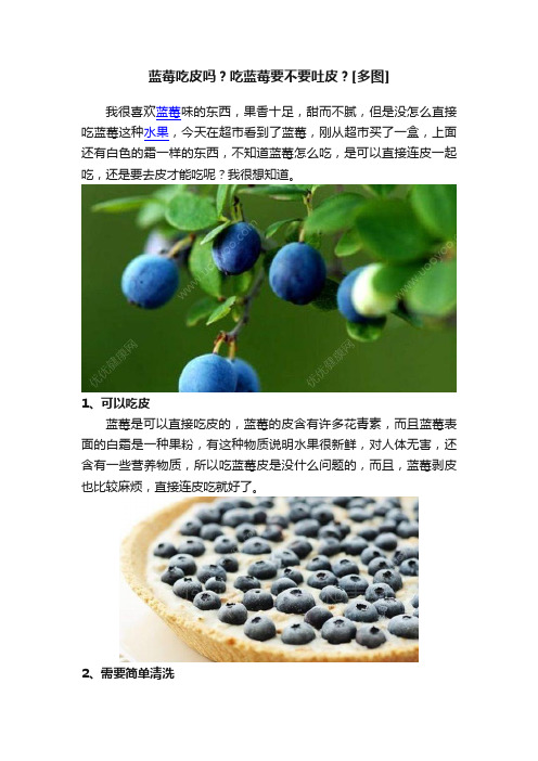 蓝莓吃皮吗？吃蓝莓要不要吐皮？[多图]