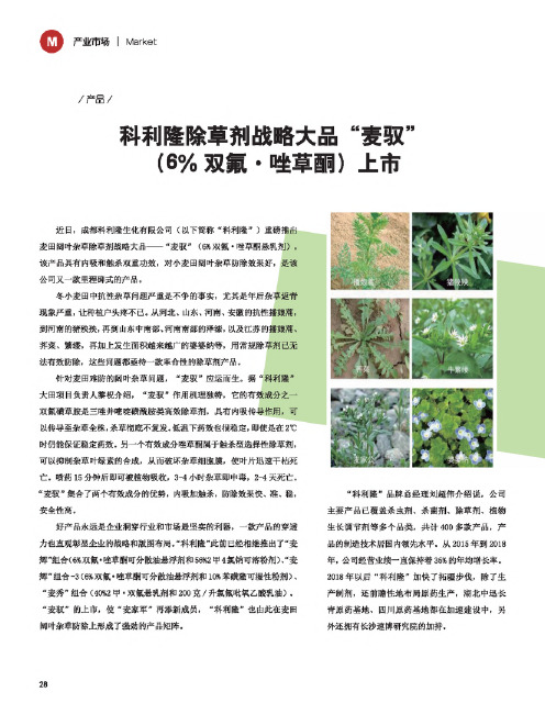 科利隆除草剂战略大品“麦驭”(6%双氟·唑草酮)上市