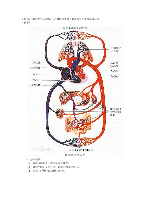 血液循环的途径教案